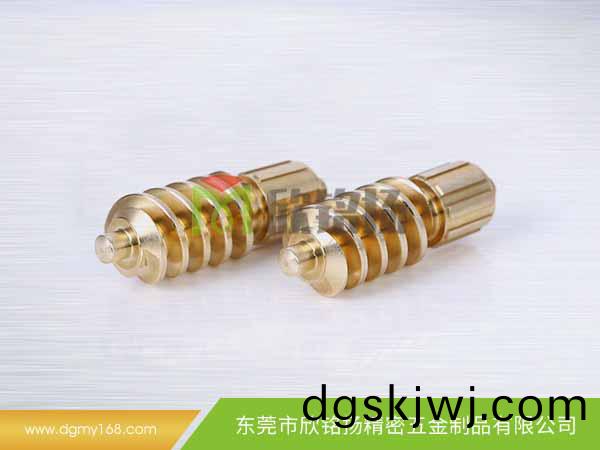 轉(zhuan)動蝸(wo)桿(gan)定製