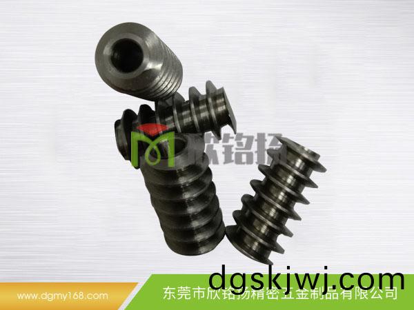 鐵(tie)蝸(wo)桿(gan),蝸輪蝸(wo)桿(gan),電(dian)機(ji)蝸桿(gan),電(dian)動(dong)蝸(wo)桿(gan)